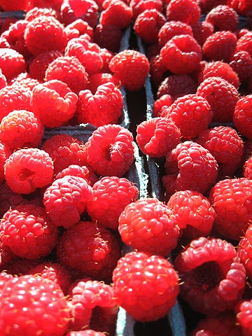 Raspberries that have been picked and brought to the farmer's market